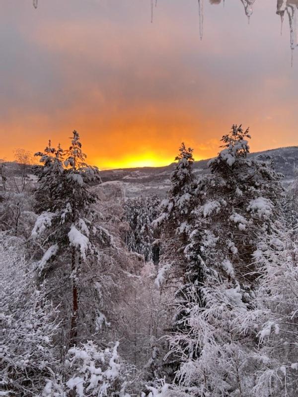 Valdres Gjestegard As - Fengselet Hove Exteriör bild